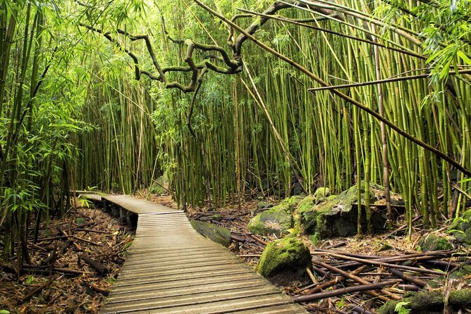 The Best Half Day of Your Life! Luxury Road to Hana Private Tour