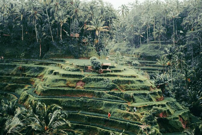 The Best Ubud Experience in a Full-Day Private Tour – Free WIFI
