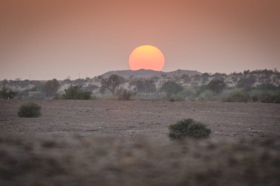 The Billion Stars Experience in the Desert