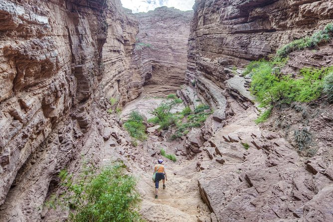 The Calchaqui Valley Winery and Scenery Tour in Cafayate