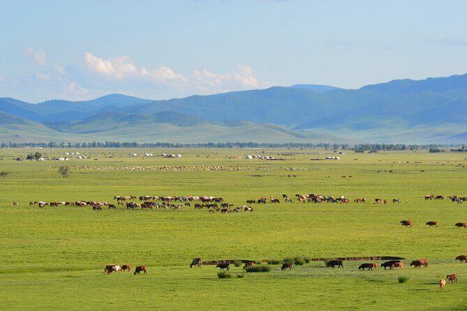 The Essence of Mongolia 4 Days - Tour Overview
