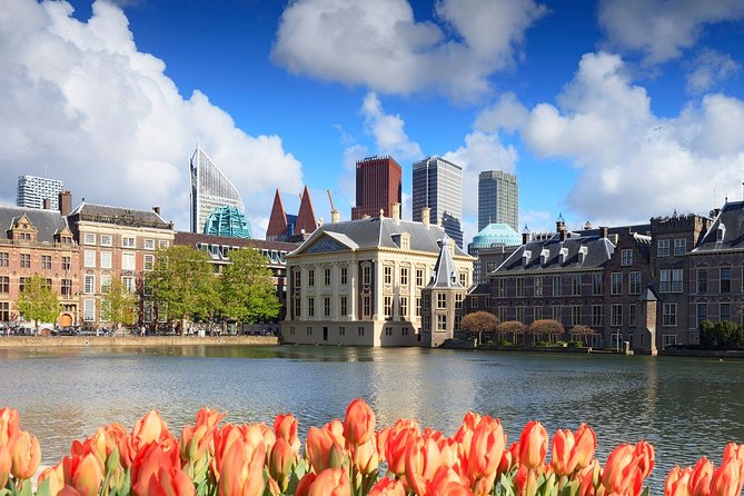 3 Best Self-Guided Tours In The Hague