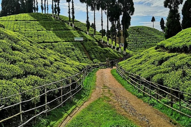 The Land Mark Tour (Nautical Day Darjeeling to Mirik Crusade)