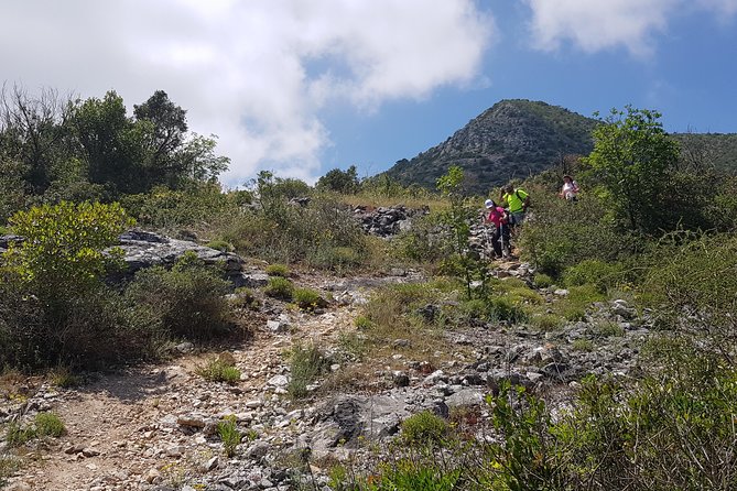 The Morning Hike - Overview of the Experience