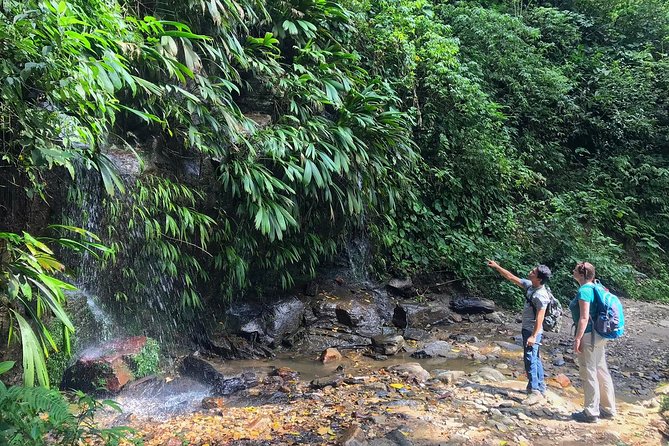The Native Expedition – Sierra Nevada (2 Days Discovering Chorrerón Waterfall)