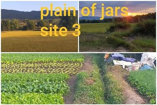The Old Capital Tour Combined With Plain off Jars - Exploring the Plain of Jars