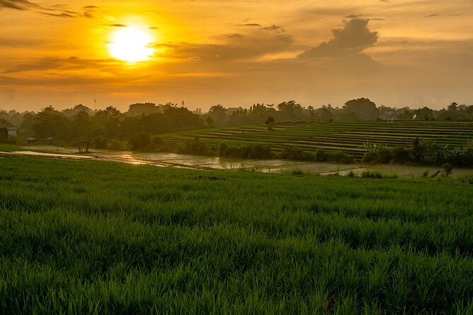 The Other Side of Bali – The North
