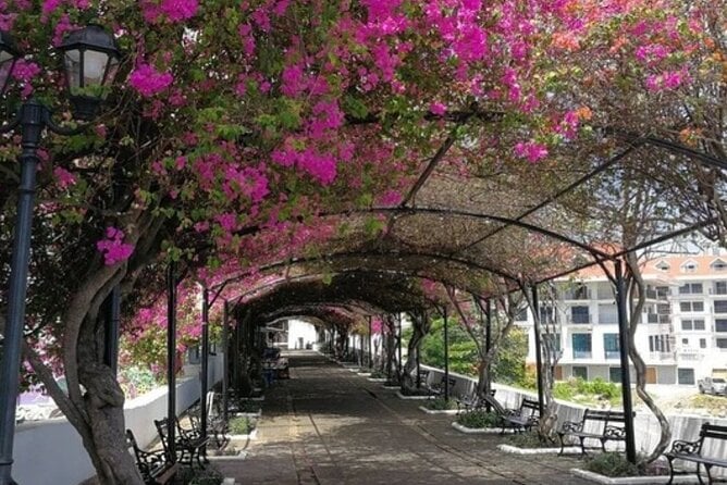 The Pearl of the Pacific & The Walled City Walking Tour