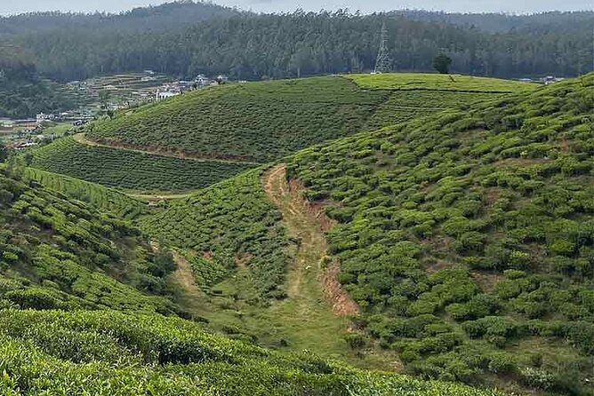 The Pekoe Trail Stage 16- Ella to Demodara