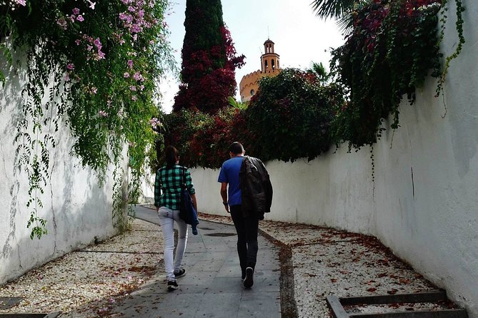The Scents of Al-Andalus-Private Tour