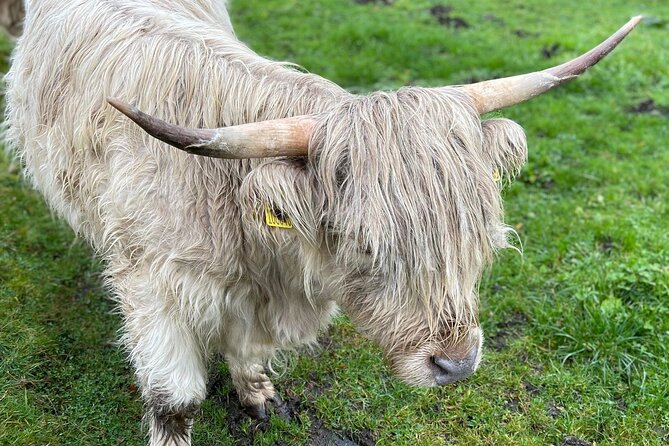 The Secret Isle Of Skye Tour