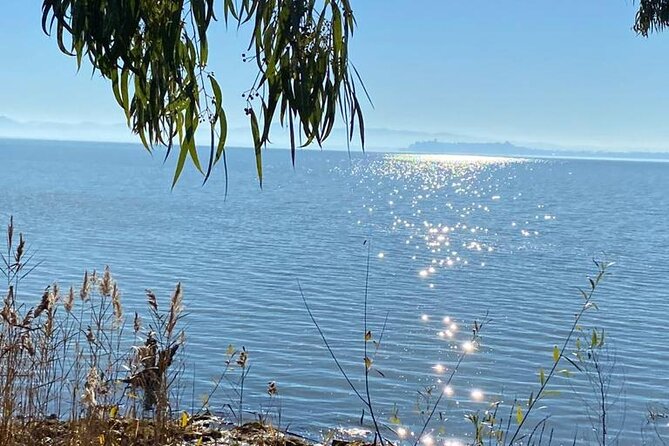 The Spell of Lake Trasimeno - Trekking Tour