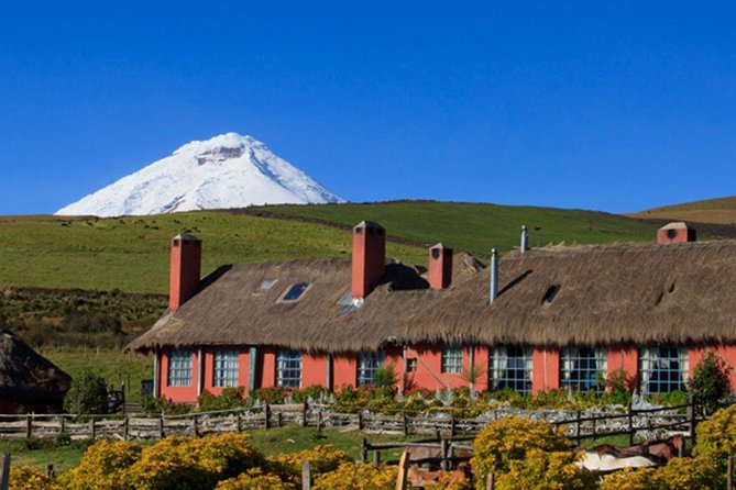 The Ultimate 6 Day Route Through Ecuadors Andes and Amazon Tour
