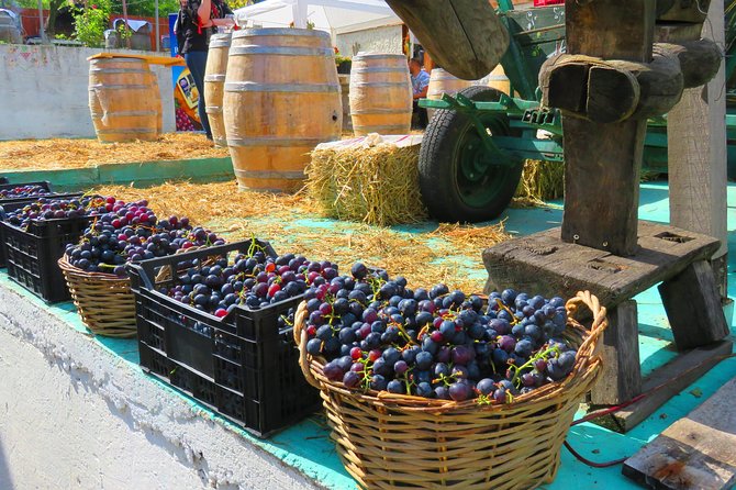 The Wine Route by Bike - Tour Overview