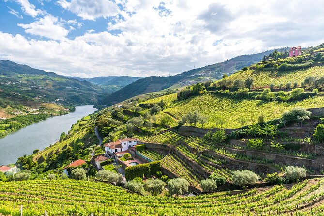 Three Cities in One Day: Douro Winery, Braga & Aveiro From Porto - Exploring Portos Cathedral