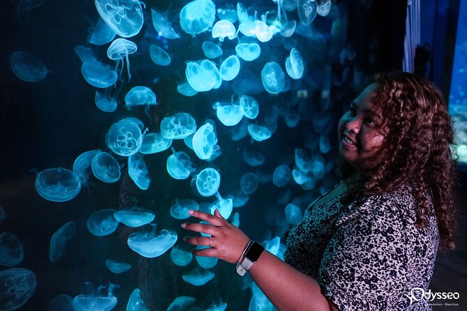 Ticket to the Largest Oceanarium of the Mascarene Islands