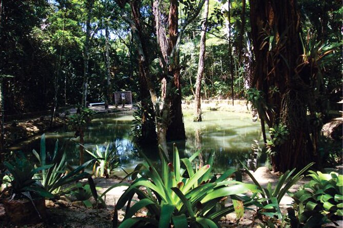 Tijucas National Park - Eco Hiking Tour