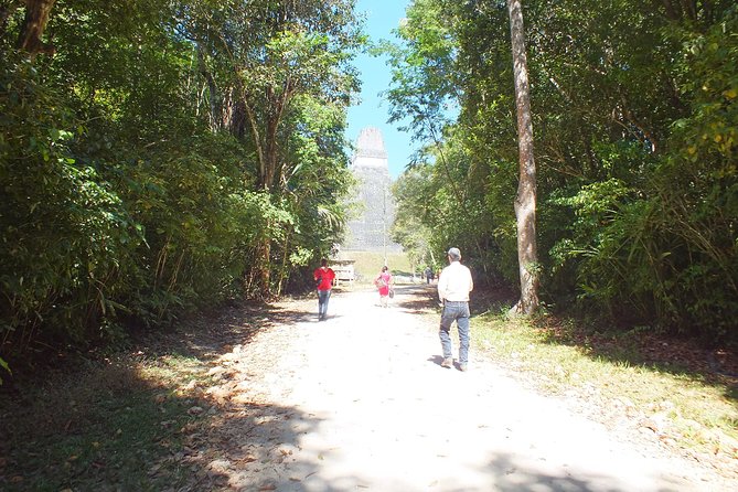 Tikal Ruins Day Tour From Flores