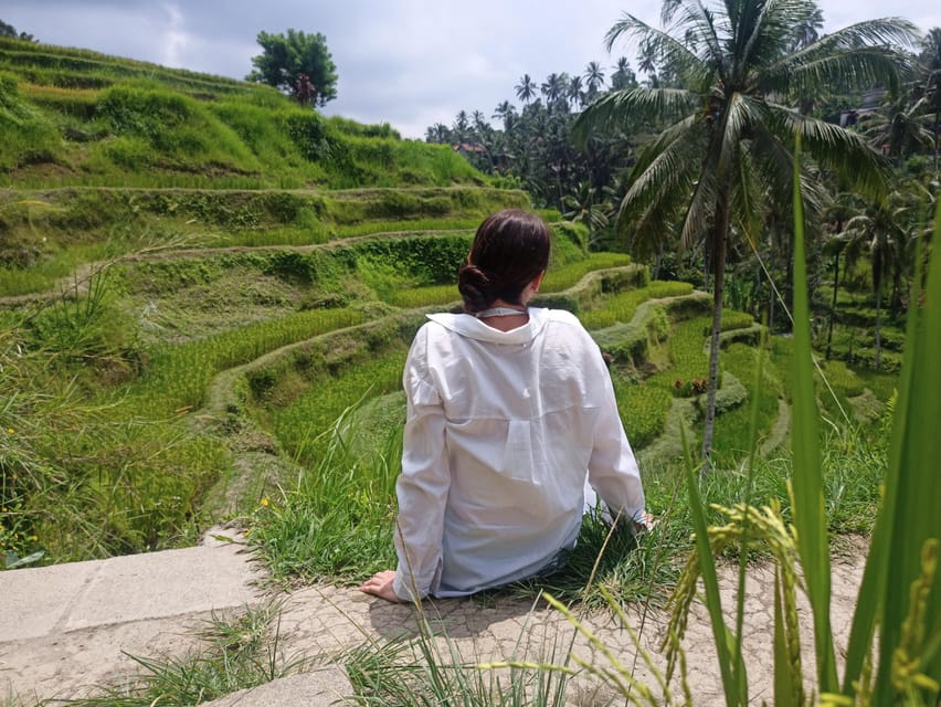 Top Highlights Ubud Private Day Tour