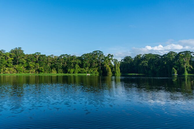 Tortuguero: Canoe Tour, Day Hike, Hill Tour, Night Tour or Spawning