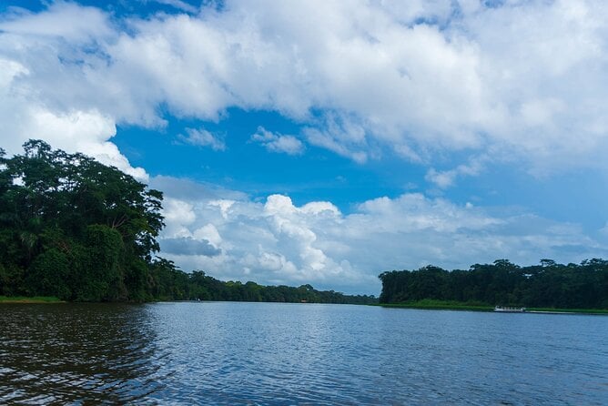 Tortuguero: Canoe Tour + Night Jungle + Cerro Mirador Tour