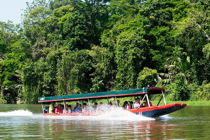 3 Best Canoe And Kayak Experiences In San Jose