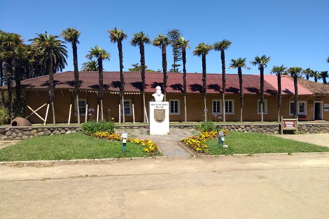 Tour Around Biob&iacute;o River Estuary & Pedro Del R&iacute;o Za&ntilde;artu Museum
