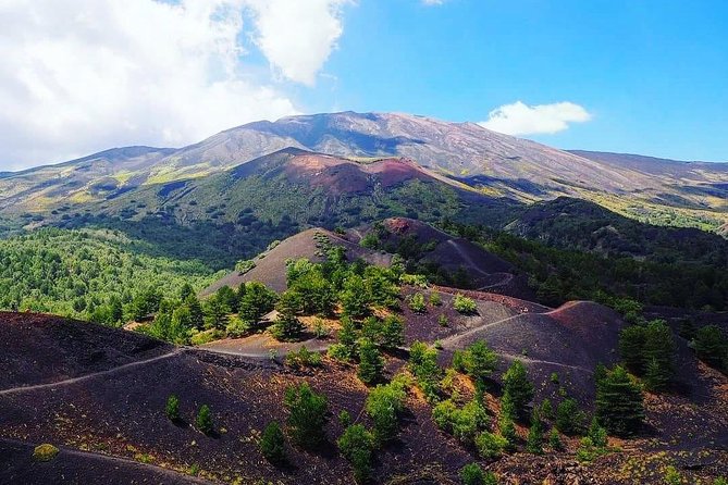 Tour Etna & Wine Tasting Private