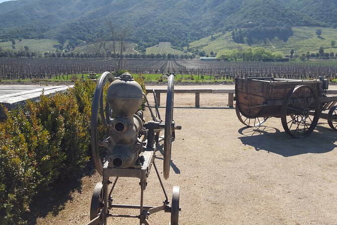 Tour in Colchagua Vineyards Montes and Vineyards Viu Manent
