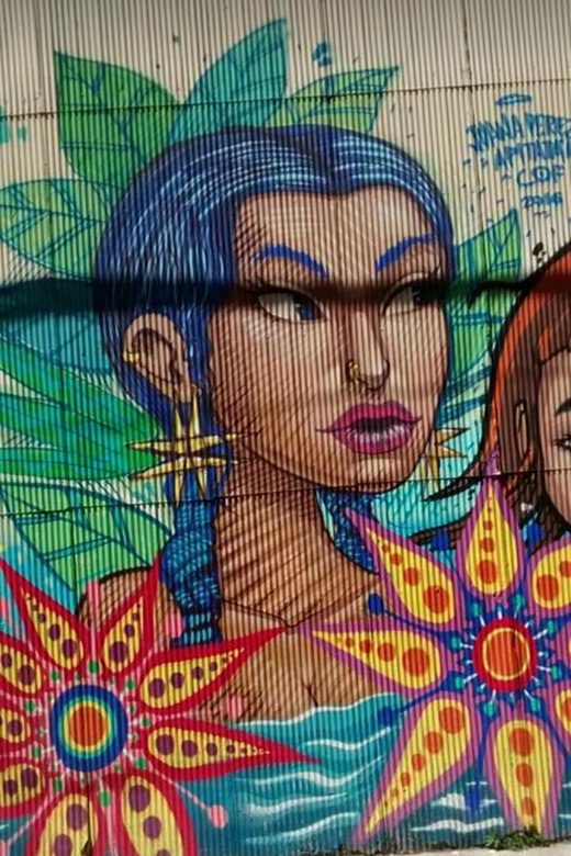 Tour Street Art Culture in Valparaíso and Viña Del Mar