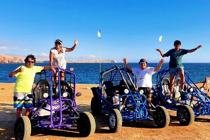 Tour the Paracas National Reserve in a MiniBuggy