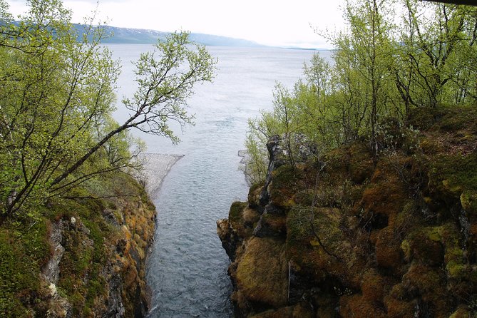 Tour to Abisko National Park