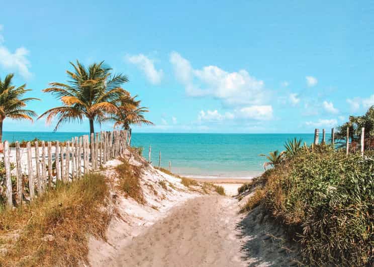 Tour to Caraíva: Beaches and Guides in Porto Seguro - Tour Overview