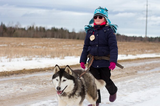 Tour to Husky Park With Cani-Cross Hike