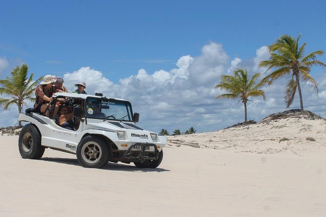 Best Cruises And Boat Tours In Northeast Brazil