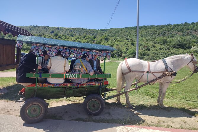 Tour to Old Orhei &Cave Monastery &Cricova Cellar Tour Tasting