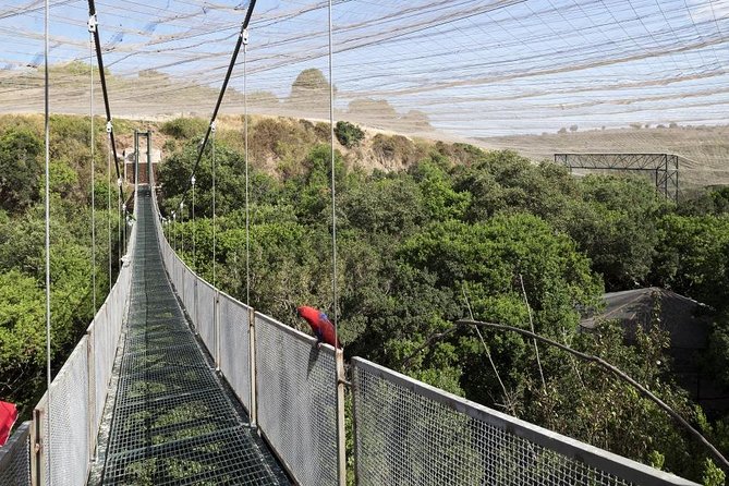 Tour to Parque Tricao + Aviary and Pomaire Full Day From Santiago - Inclusions
