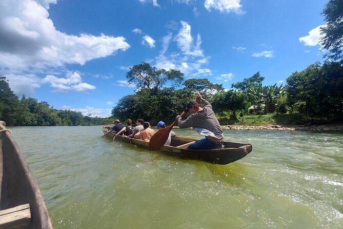 Tour to the Amazon for One Day - Overview and Experience