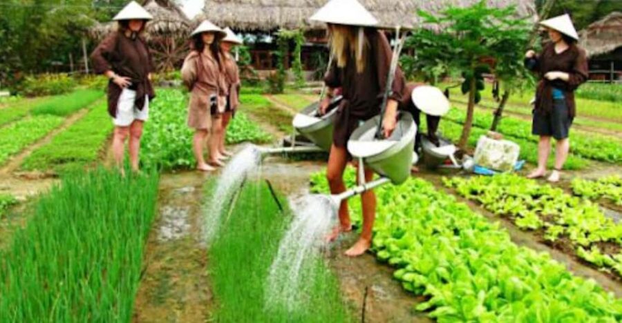 Tra Que Village Vegetable Farm Experience by Bike
