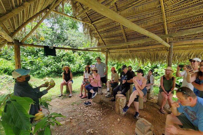 Traditional Chocolate Making in Belize