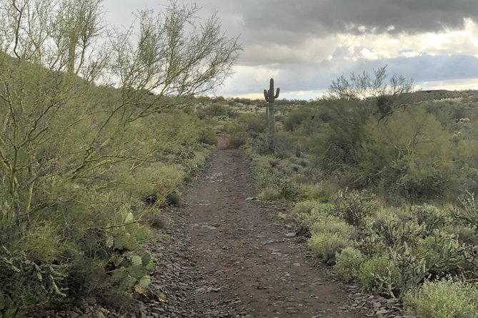 Trail Riding for the Individual or Group. Best Trail Rides Anywhere in Arizona.