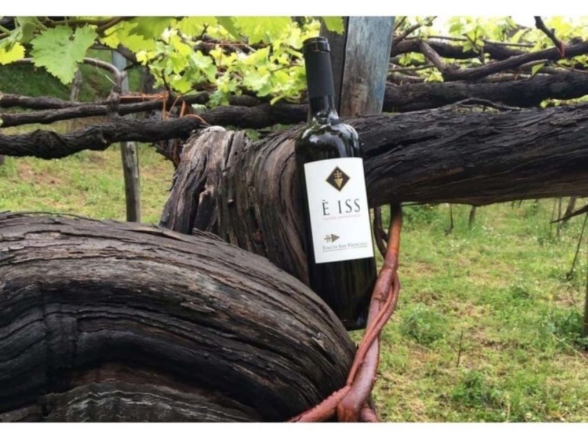 Tramonti: Tenuta San Francesco Wine Tasting - Tour Overview and Pricing