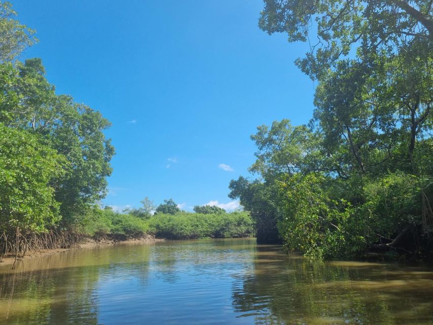 Transfer From Barreirinhas to Parnaiba