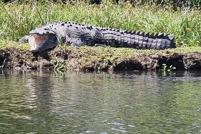 2 Best Cruises And Boat Tours In Tortuguero