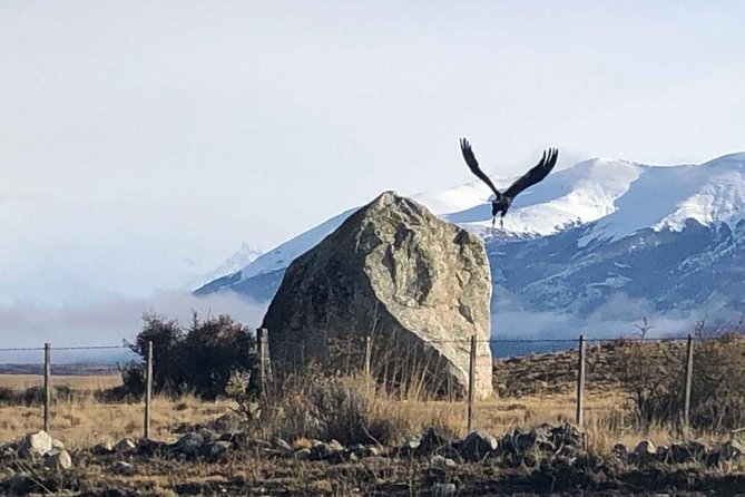 Transfer to and Form Airport El Calafate - Overview and Pricing