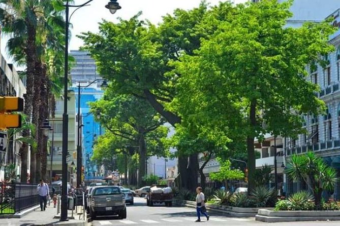 Transfers From Guayaquil Airport to the Hotel