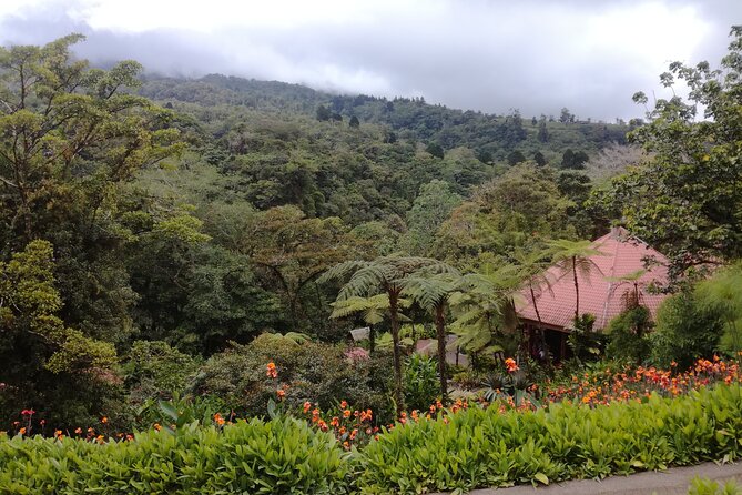 Transport From La Fortuna to Liberia Airport and Vice Versa
