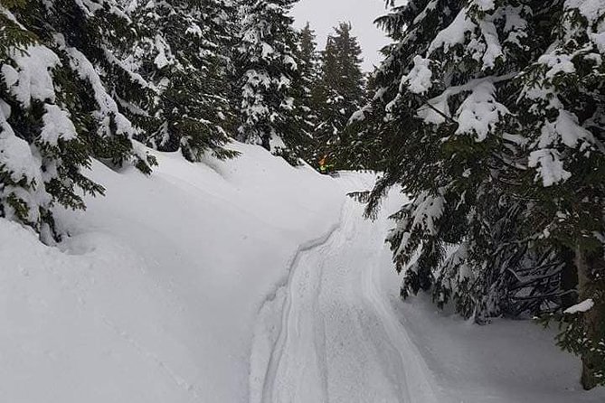 Transylvania, Draculas Castle & Fun With the Snowmobile or ATV Tour in One Day