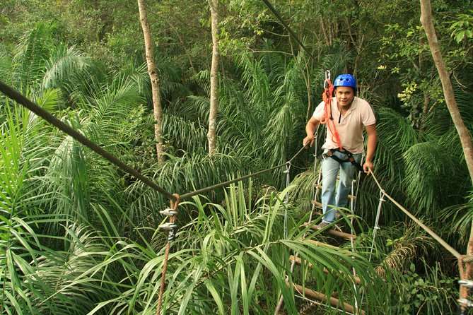 Tree Climbing In Bonito