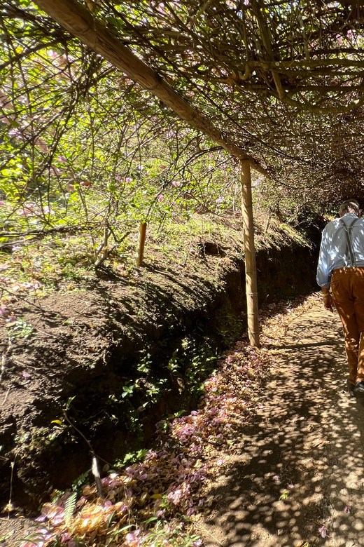 Trekking, Zipline, and Waterfalls at El Salto Del Buey